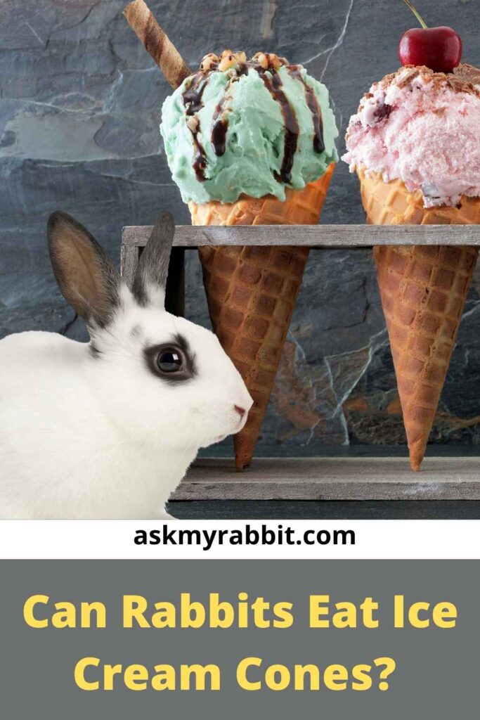 Can Rabbits Eat Ice Cream Cones?