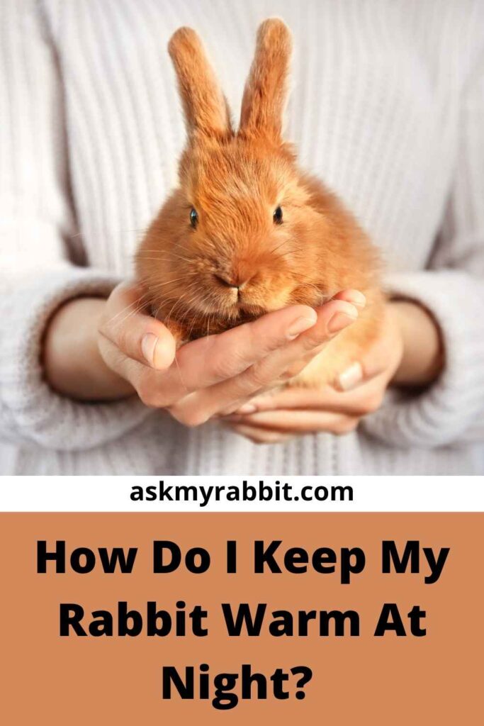 How Do I Keep My Rabbit Warm At Night?