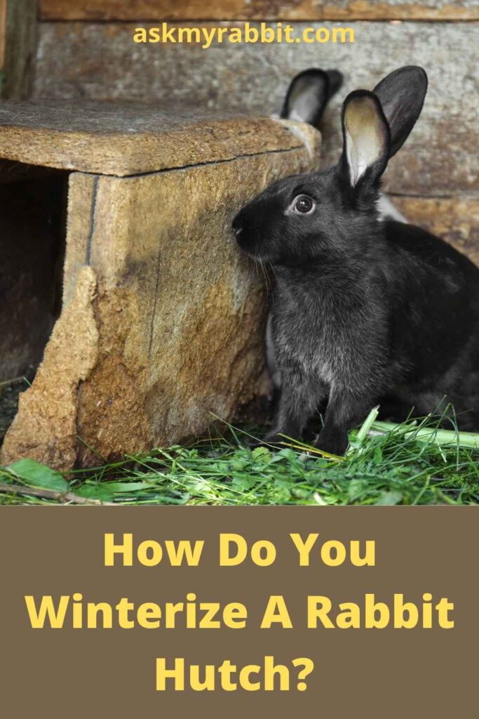 How Do You Winterize A Rabbit Hutch?