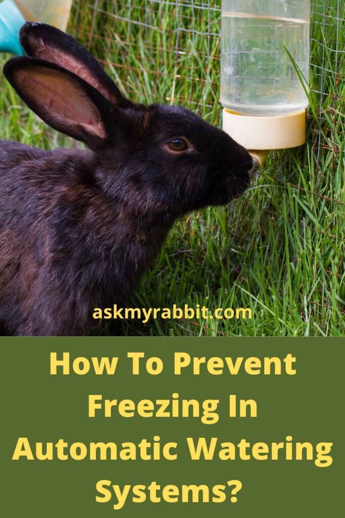 How To Prevent Freezing In Automatic Watering Systems?