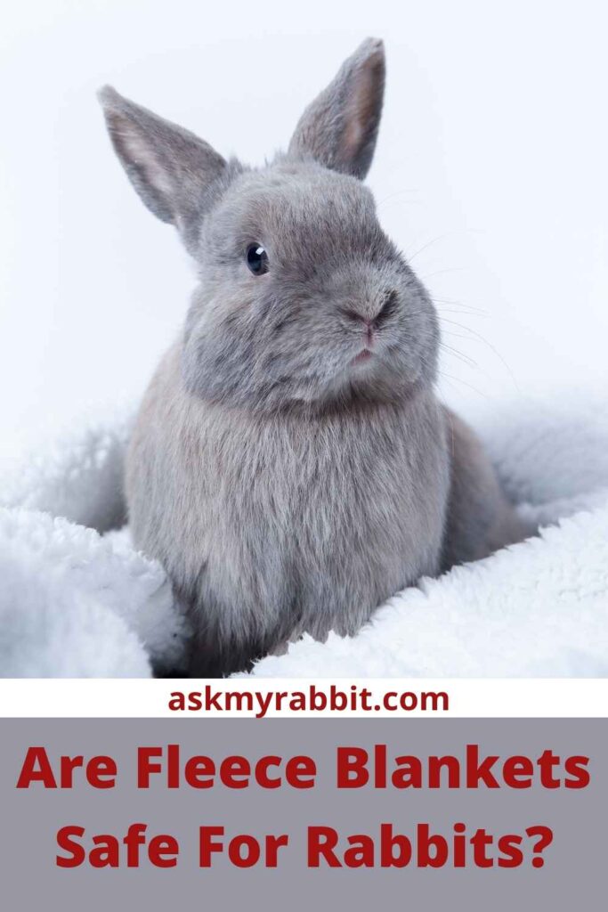 Are Fleece Blankets Safe For Rabbits?