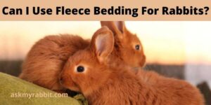 Can I Use Fleece Bedding For Rabbits?