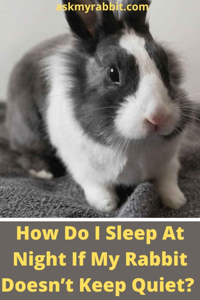 How Do I Sleep At Night If My Rabbit Doesn’t Keep Quiet?