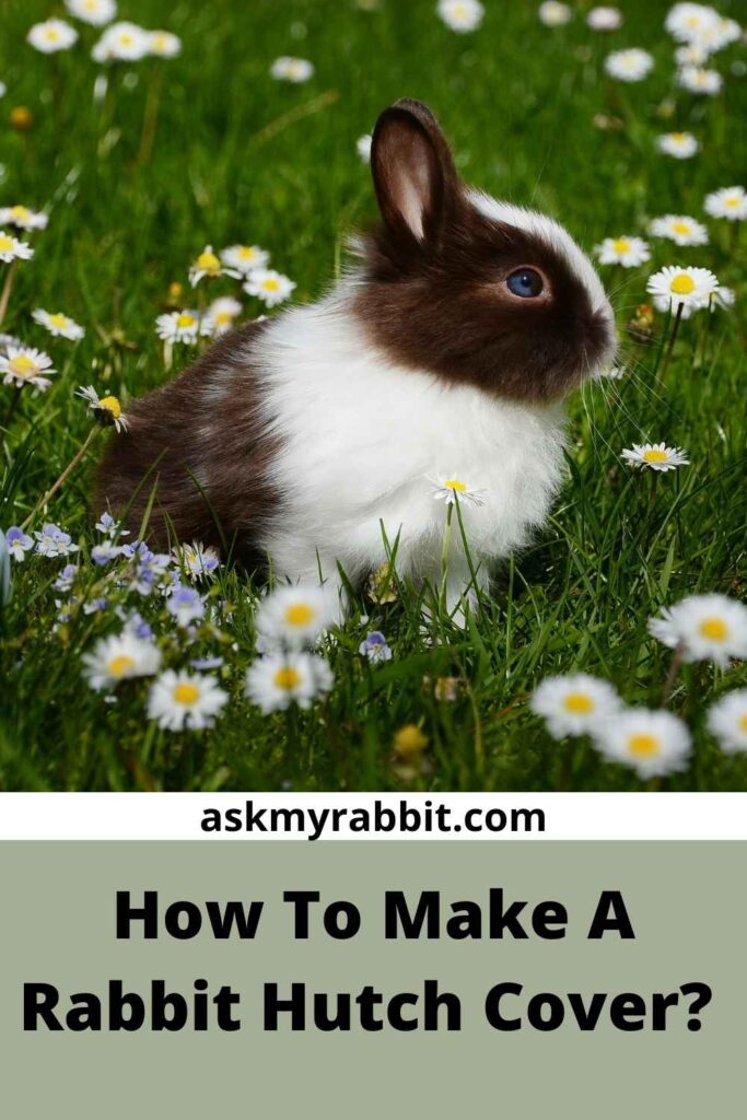How To Make A Rabbit Hutch Cover?