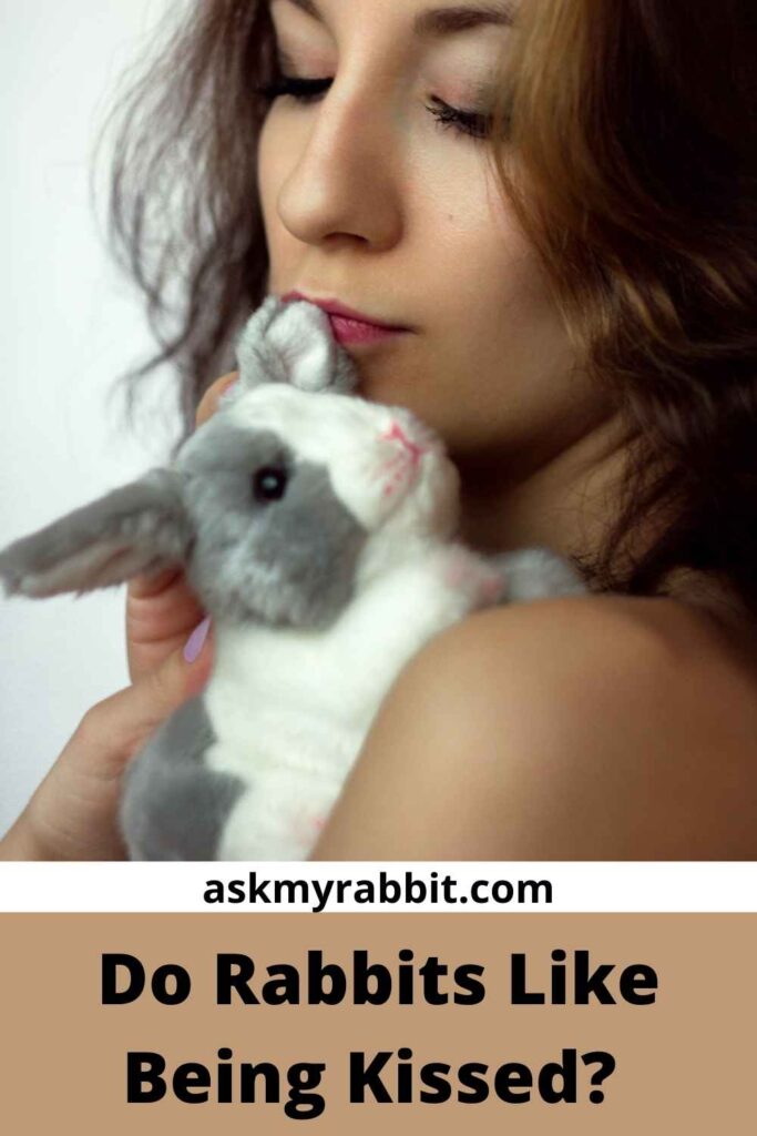 Do Rabbits Like Being Kissed?