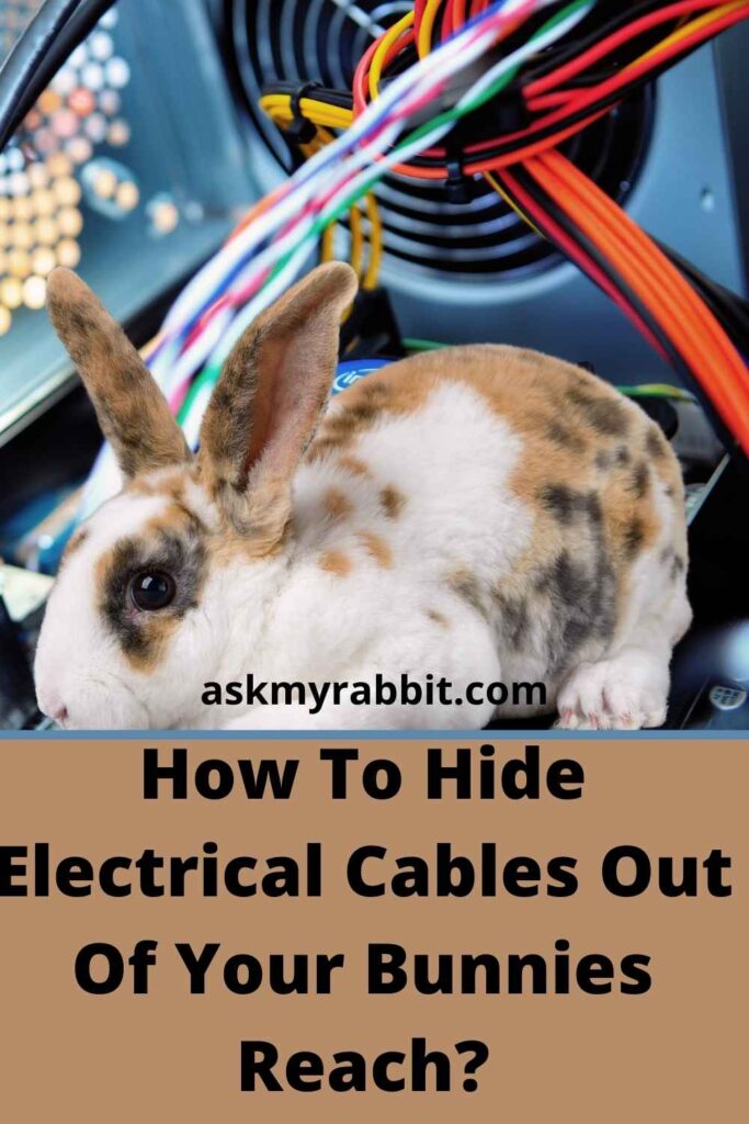 How To Hide Electrical Cables Out Of Your Bunnies Reach?