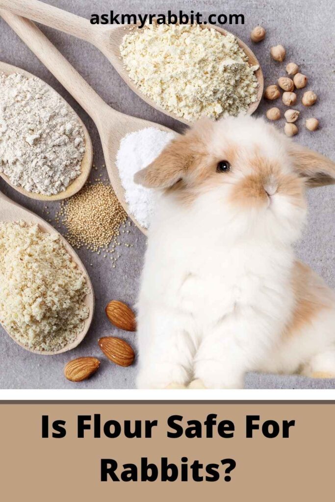 Is Flour Safe For Rabbits?
