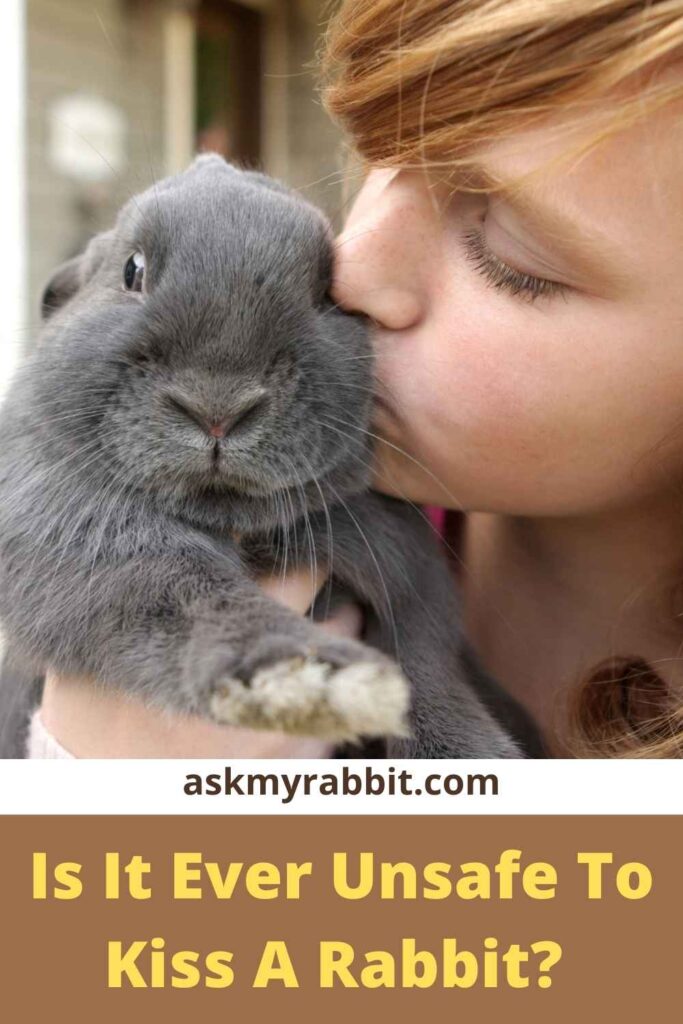 Is It Ever Unsafe To Kiss A Rabbit?