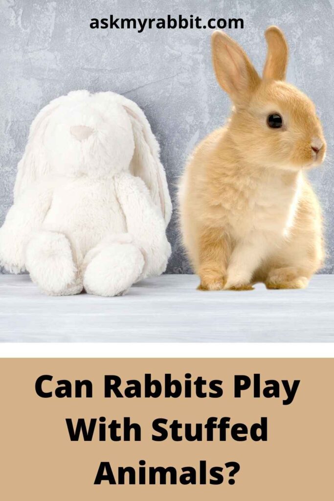 Can Rabbits Play With Stuffed Animals?