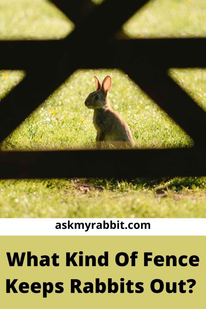 What Kind Of Fence Keeps Rabbits Out?