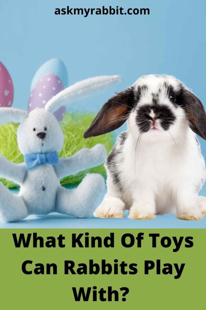 What Kind Of Toys Can Rabbits Play With? 
