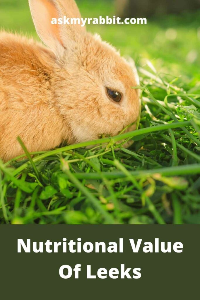 Nutritional-Value-Of-Leeks