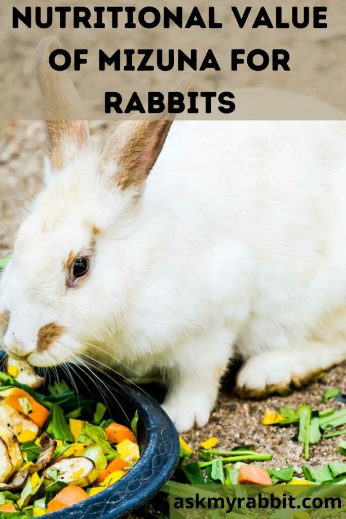 What Is The Nutritional Value Of Mizuna For Rabbits