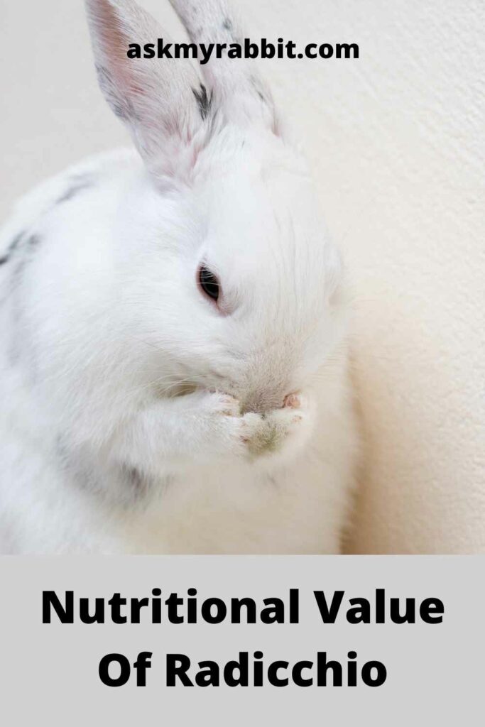 Nutritional-Value-Of-Radicchio