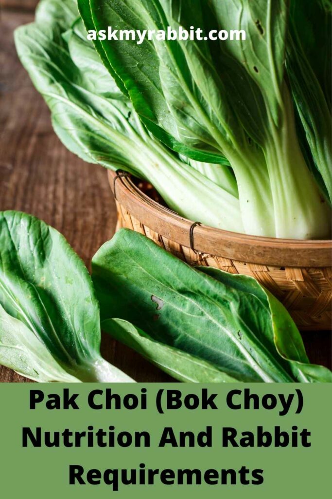 Pak Choi (Bok Choy) Nutrition And Rabbit Requirements